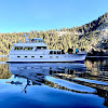 Negocio Lake Tahoe Bleu Wave