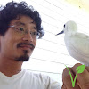 Negocio Midway Atoll National Wildlife Refuge