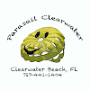 Negocio Pier 60 Parasail