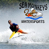 Negocio Sea Monkeys Watersports