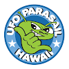 Photo of Ufo Parasail On Ka'anapali Beach