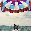 Negocio Venice Parasailing